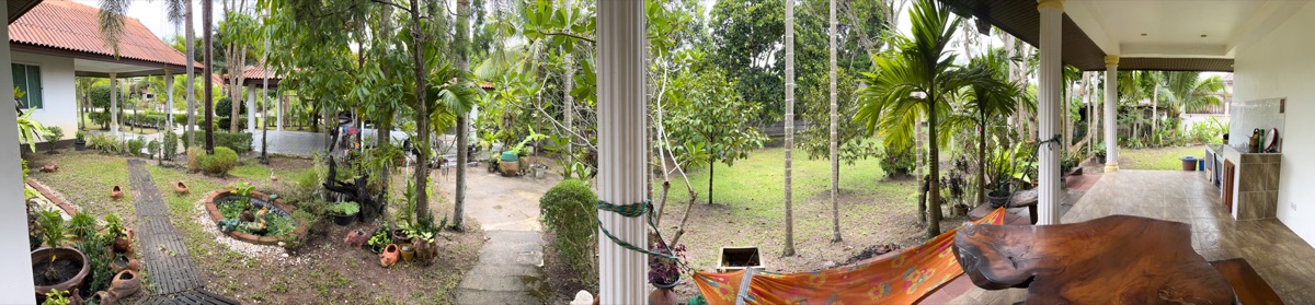 Panorama of garden